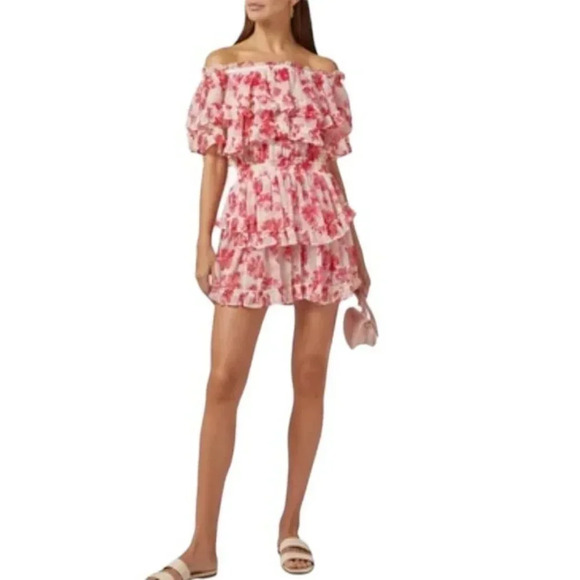 MISA LOS ANGELES Isella Floral Ruffle Georgette Mini Dress Pink White Size S NWT - Picture 9 of 16